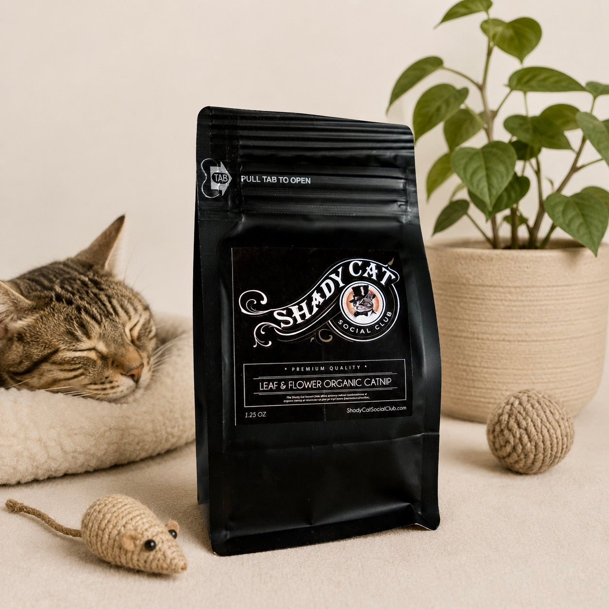 Shady Cat Organic Catnip