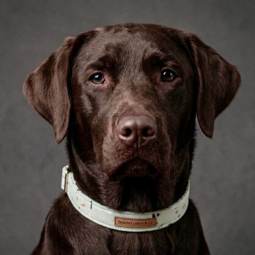 The Blush Speckle Dog Collar